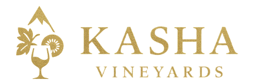 Kasha