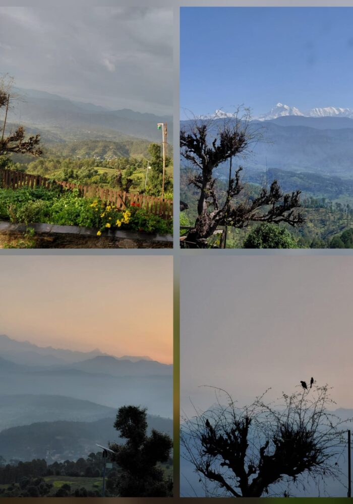 WhatsApp Image 2025-07-09 at 17.11.19 (1)